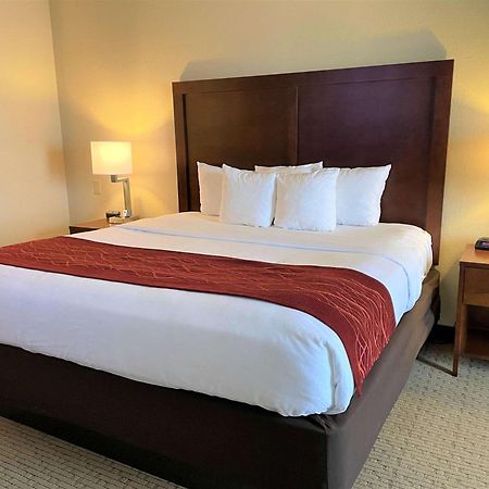 Comfort Inn & Suites Rogersville Eksteriør billede