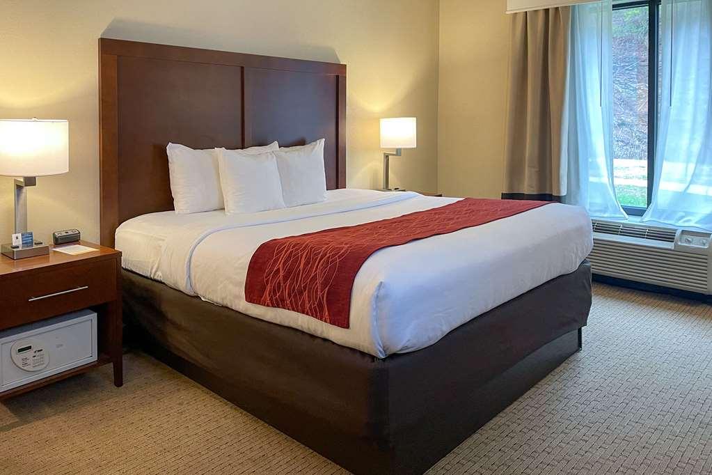 Comfort Inn & Suites Rogersville Værelse billede