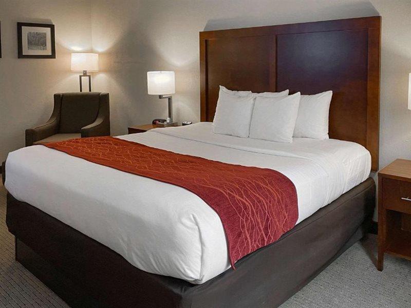Comfort Inn & Suites Rogersville Eksteriør billede