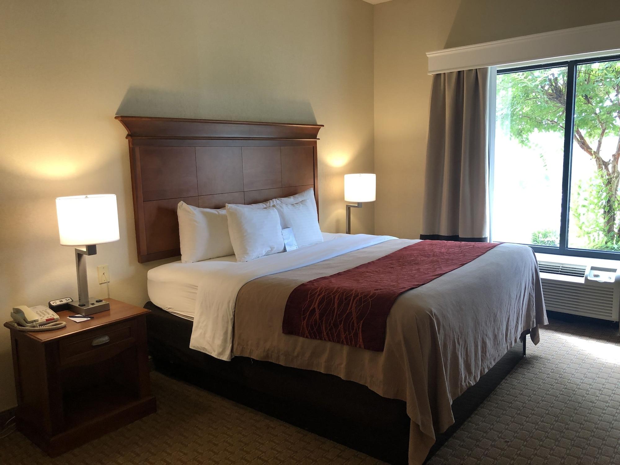 Comfort Inn & Suites Rogersville Eksteriør billede