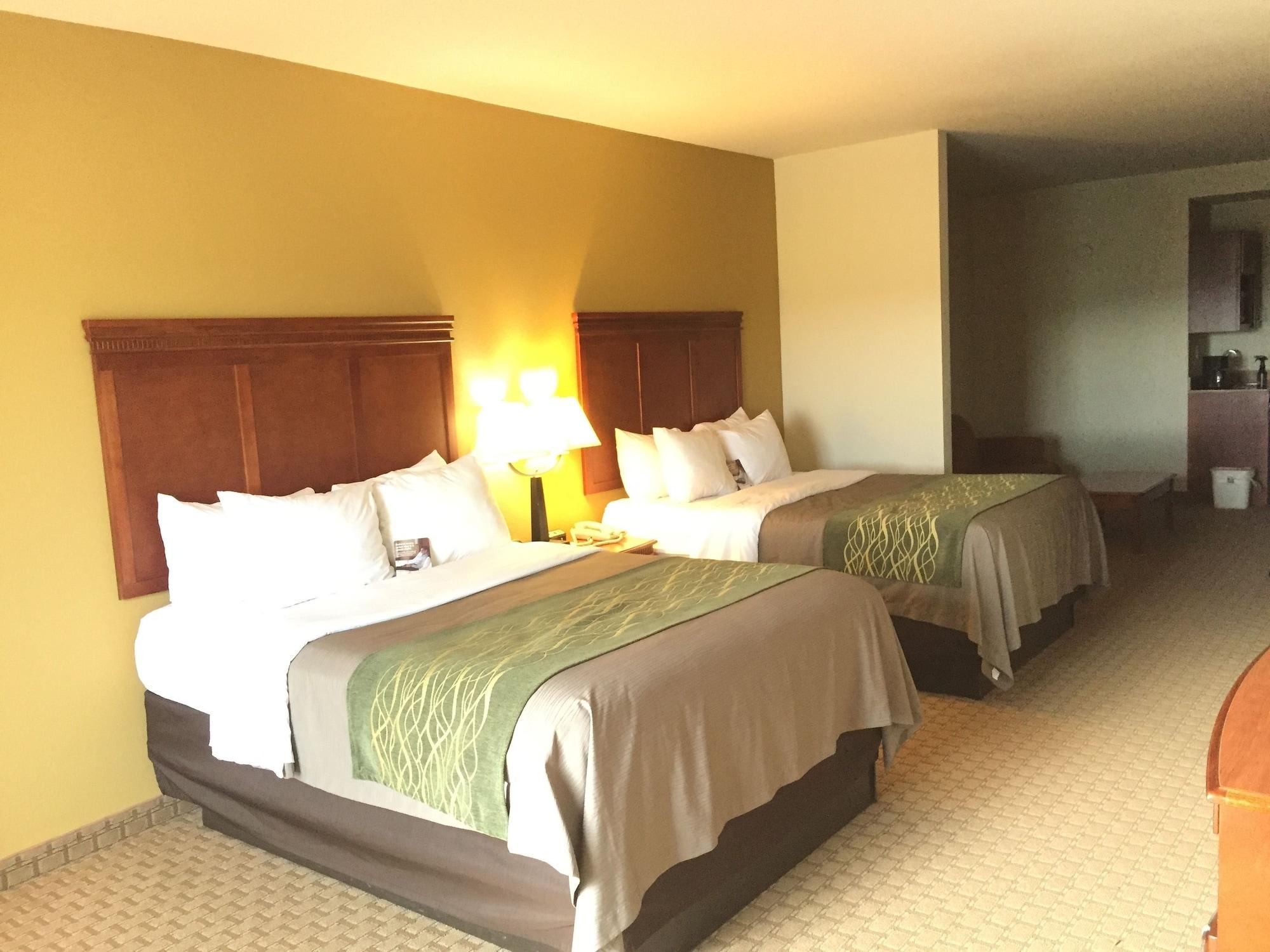 Comfort Inn & Suites Rogersville Eksteriør billede