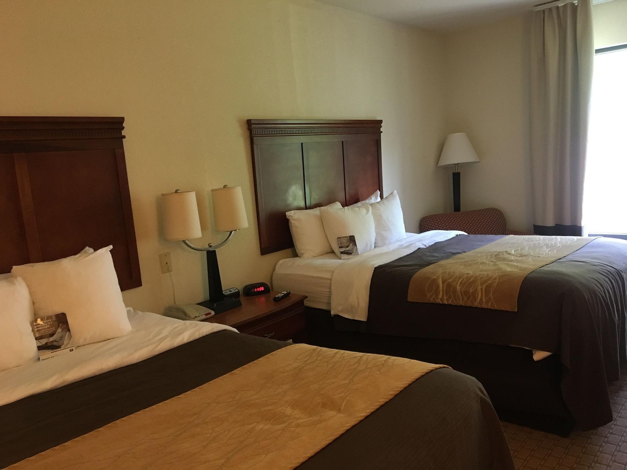 Comfort Inn & Suites Rogersville Eksteriør billede