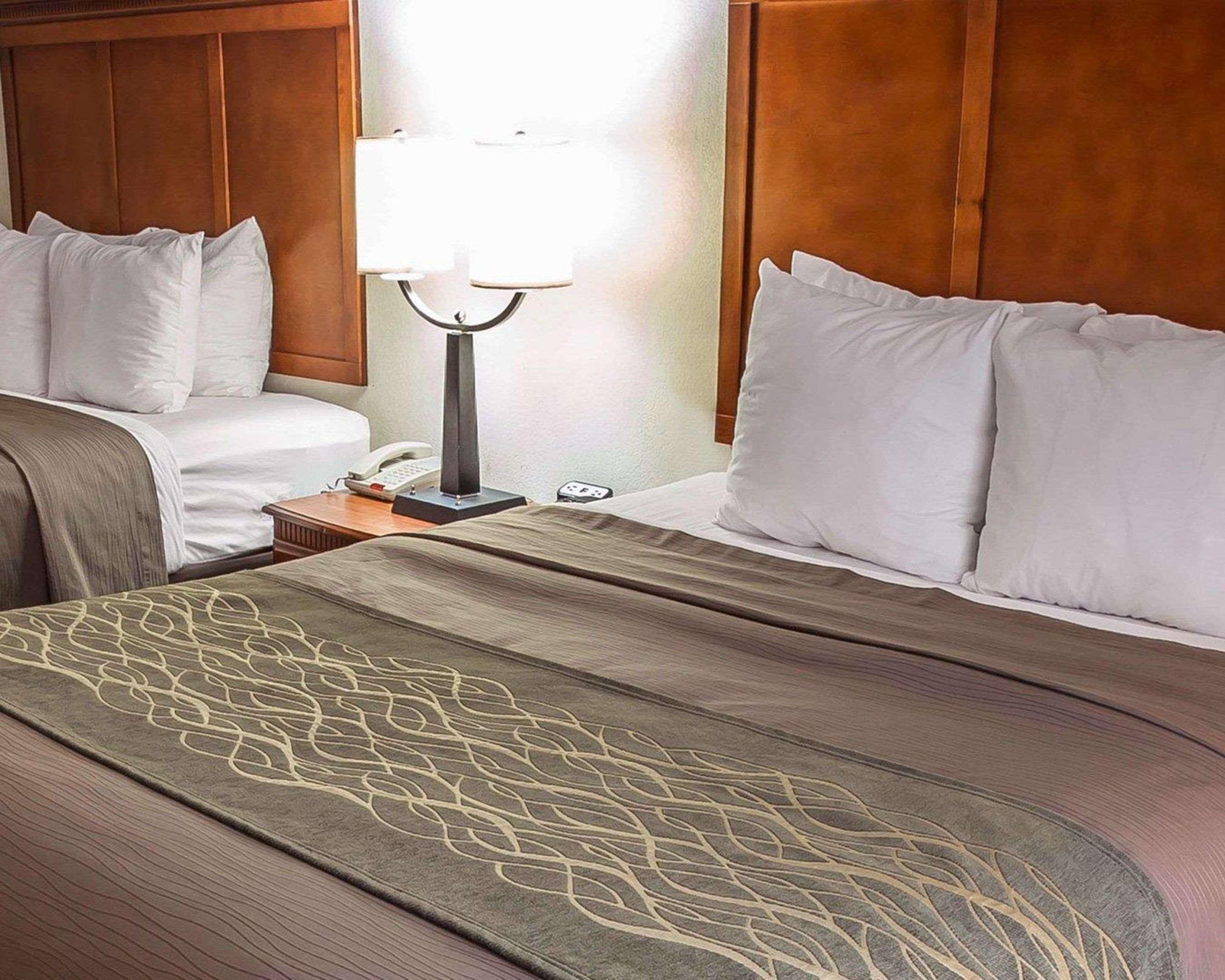 Comfort Inn & Suites Rogersville Eksteriør billede