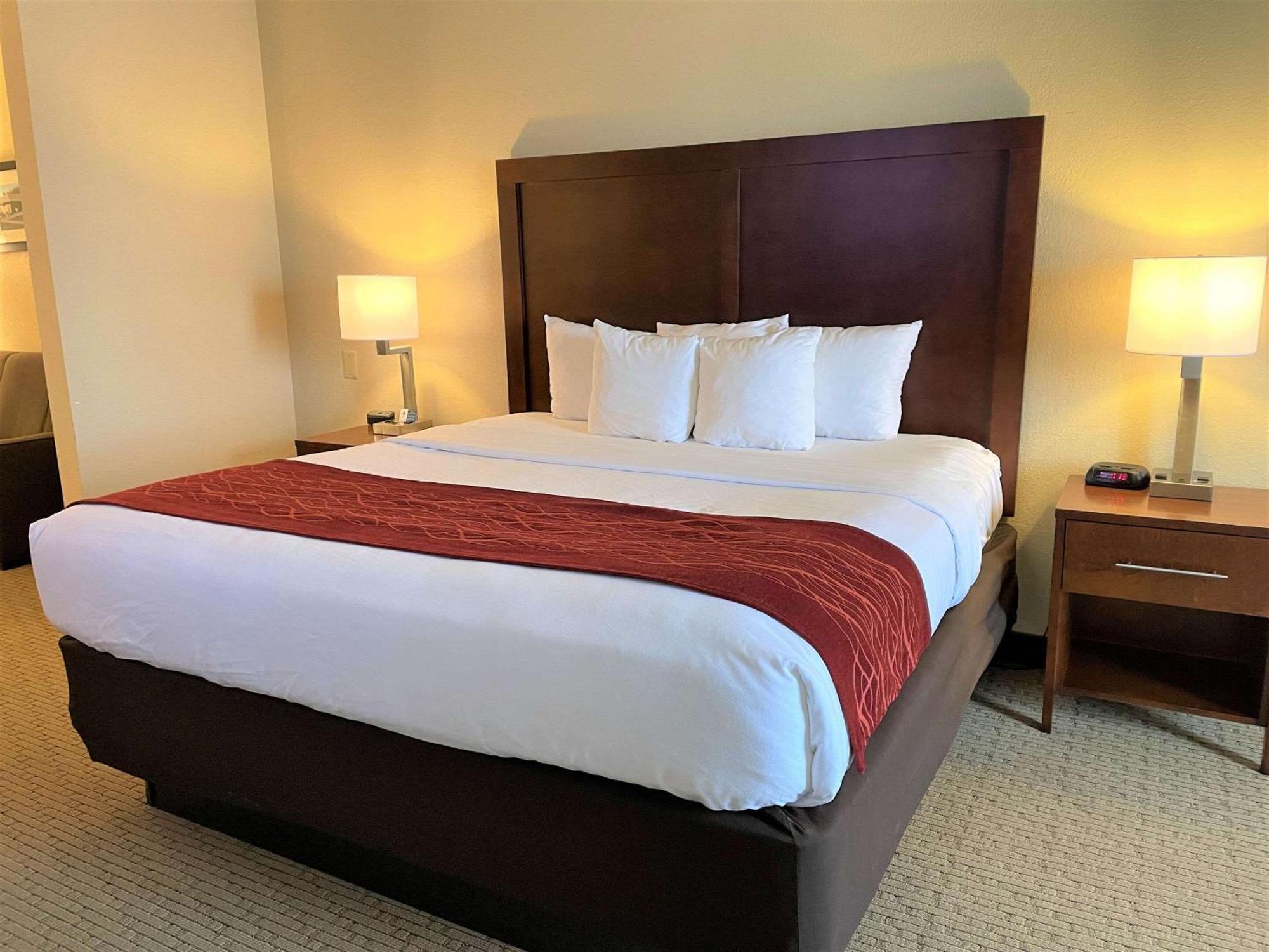 Comfort Inn & Suites Rogersville Eksteriør billede
