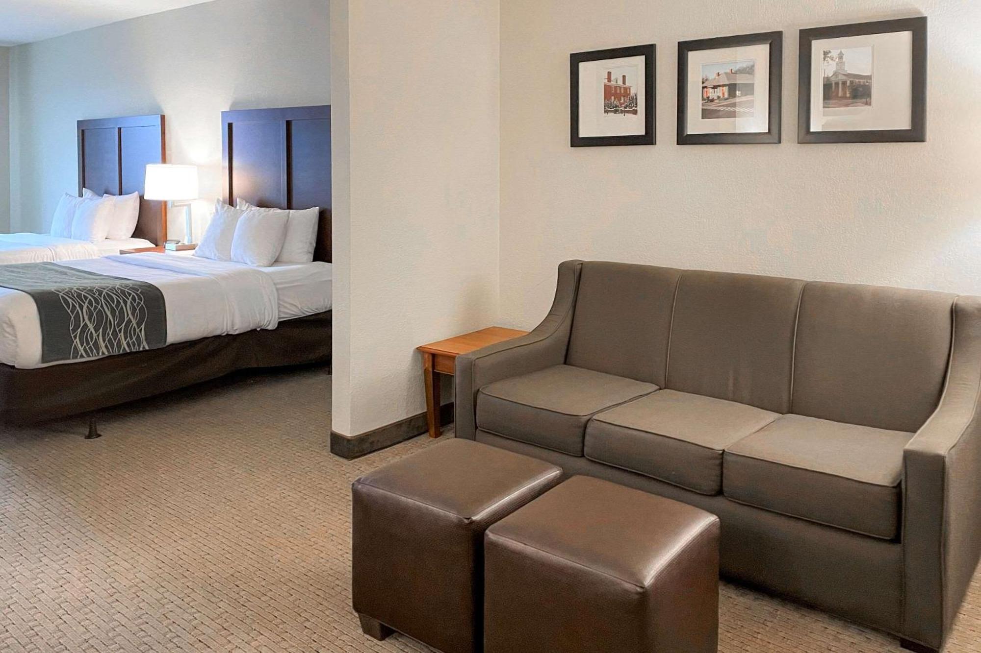 Comfort Inn & Suites Rogersville Eksteriør billede