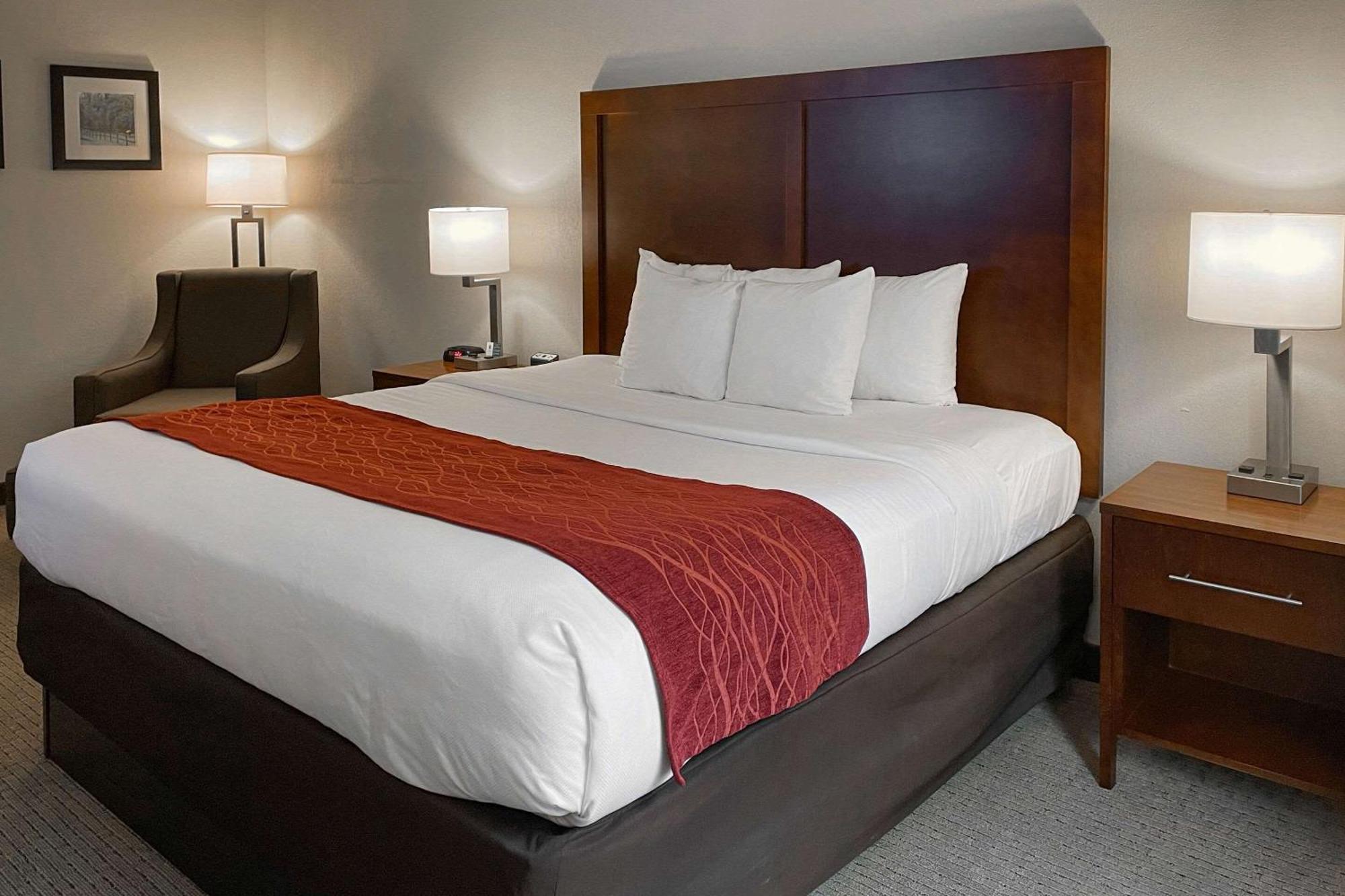 Comfort Inn & Suites Rogersville Eksteriør billede